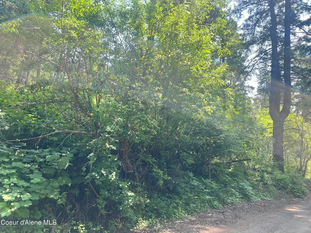 $80,000 | -nka South Lakeview Lane, Harrison, ID 83833