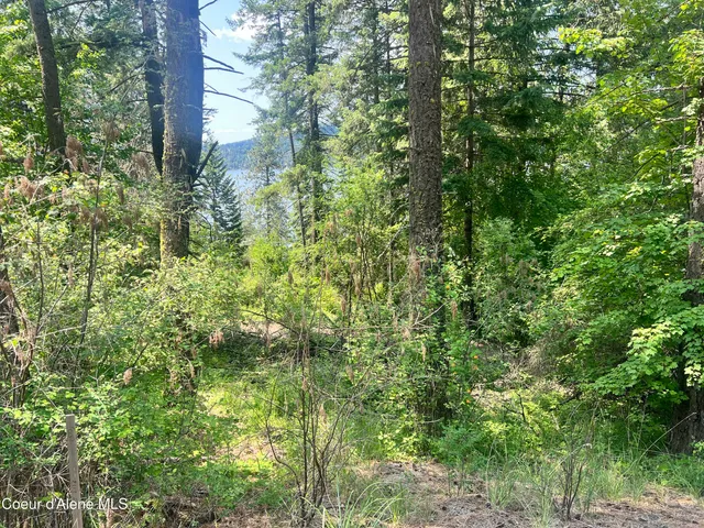 $80,000 | -nka South Lakeview Lane, Harrison, ID 83833