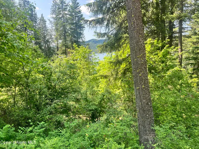 $80,000 | -nka South Lakeview Lane, Harrison, ID 83833