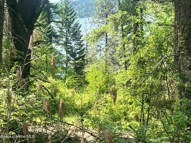 $80,000 | -nka South Lakeview Lane, Harrison, ID 83833