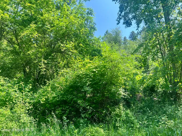 $80,000 | -nka South Lakeview Lane, Harrison, ID 83833