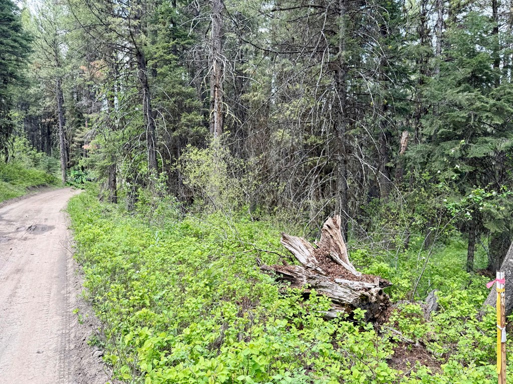 518 Susan Road, Unit 39 Cascade, ID 83611 - Photo 3 of 10 Southwest Corner Marker and Easy Access Off Susan Road