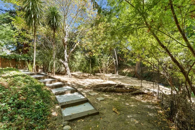 a view of backyard with trees