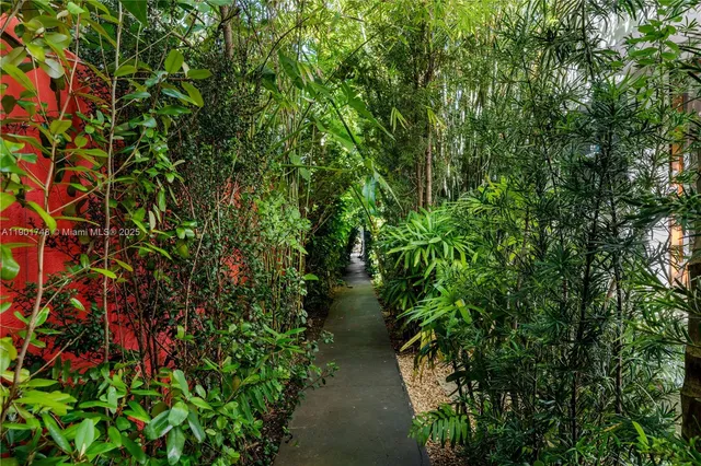 a view of a pathway with plants and large trees