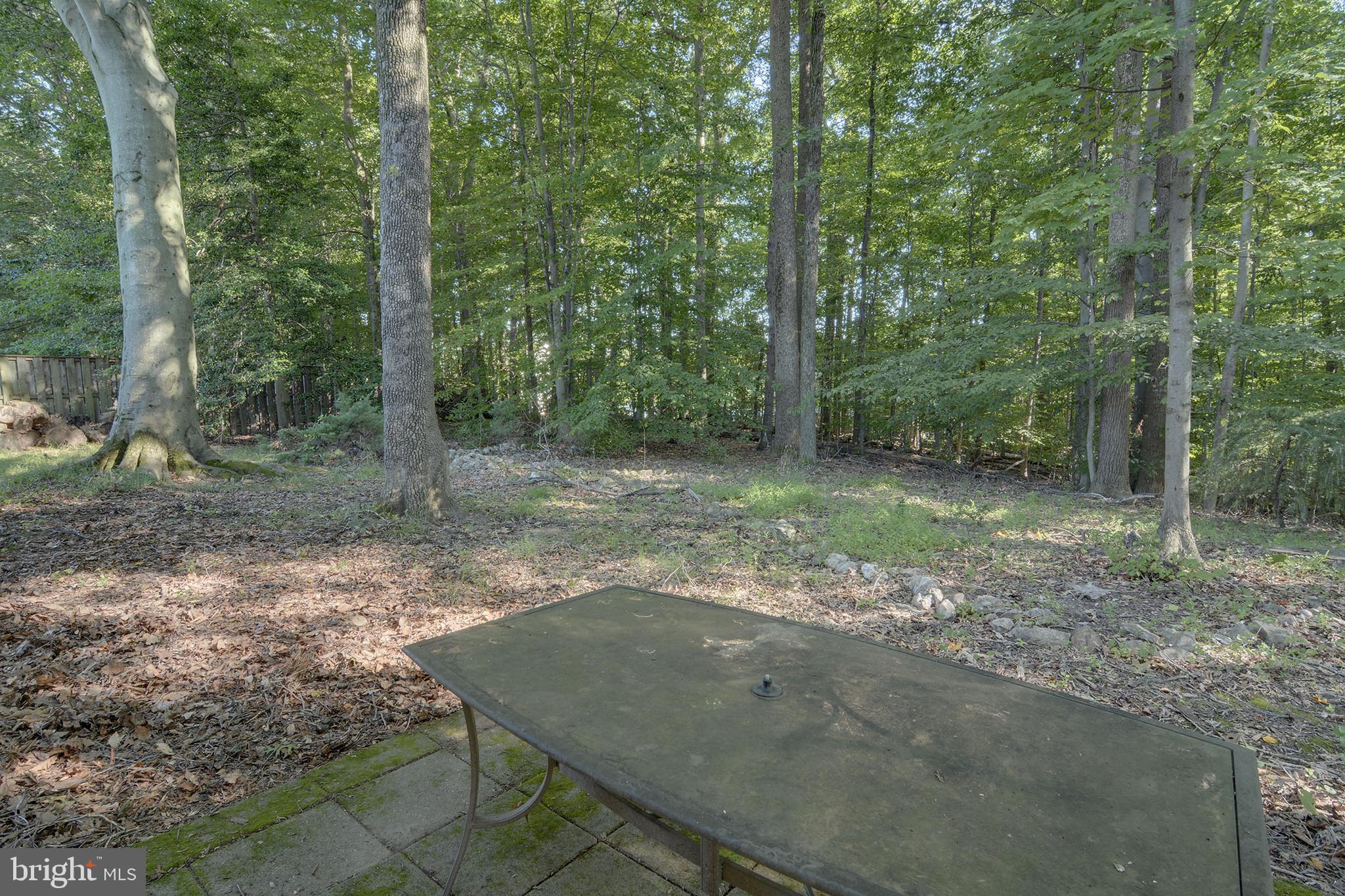 8811 Cuttermill Place Springfield, VA 22153 - Photo 11 of 12 Backs to Woods