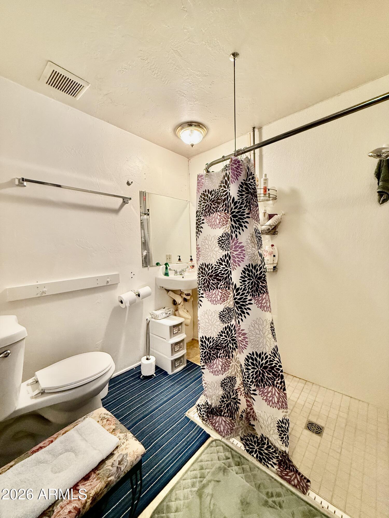 300 Airport Road, Unit 34 Kearny, AZ 85137 - Photo 11 of 18 a bathroom with a toilet and a shower curtain