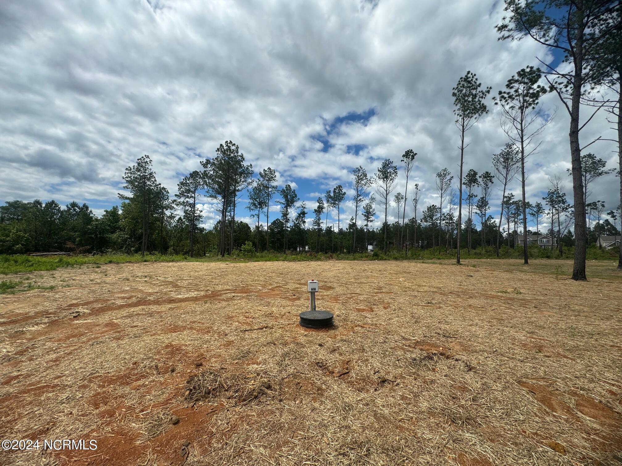 705 Gridiron Way Cameron, NC 28326 - Photo 28 of 29 IMG_3359