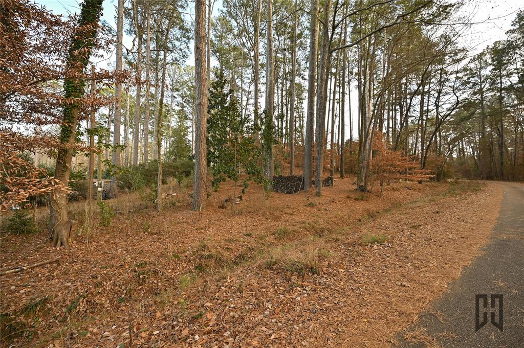 701 Forest Drive Homer, LA 71040 - Photo 32 of 34 1 acre additional lot