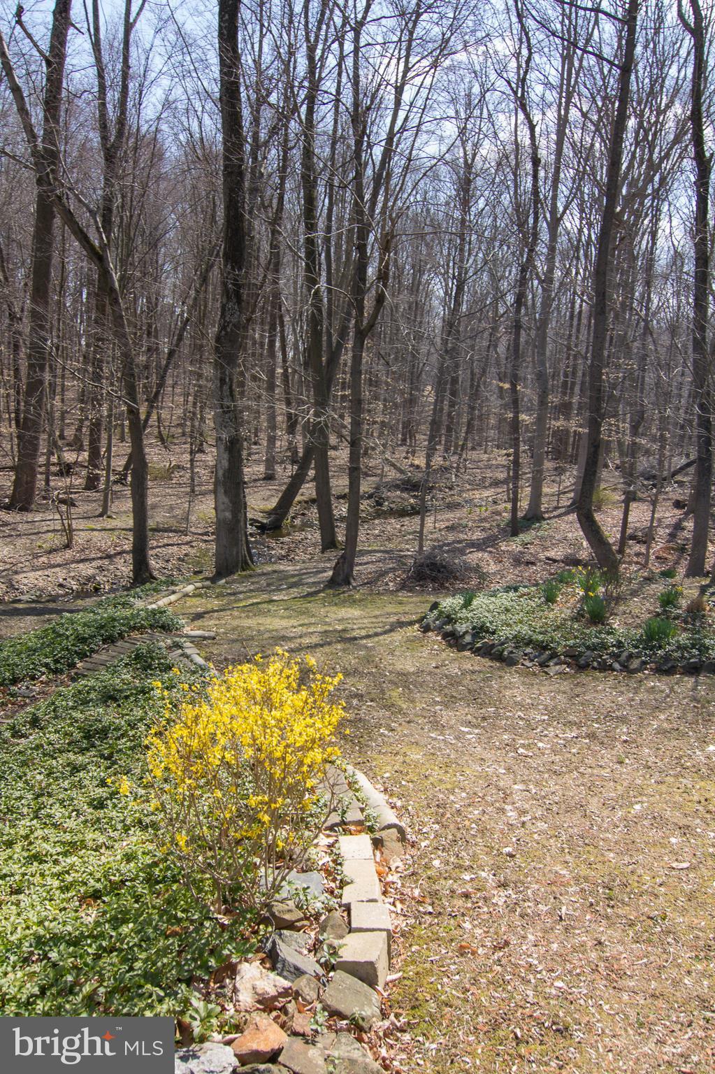 1104 Sturbridge Road Fallston, MD 21047 - Photo 22 of 28 a view of a yard with a house