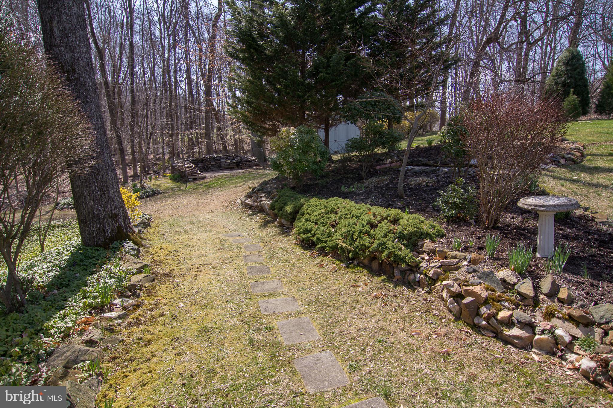 1104 Sturbridge Road Fallston, MD 21047 - Photo 27 of 28 a view of a backyard with plants and trees