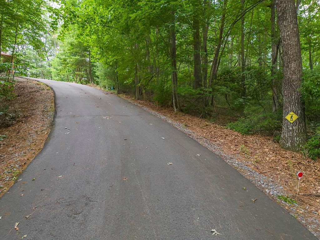 35 Leatherwood Mountain Road Cherry Log, GA 30522 - Photo 45 of 58 a view of a road with a trees in the background