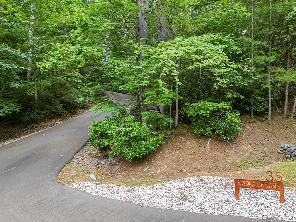 35 Leatherwood Mountain Road Cherry Log, GA 30522 - Photo 46 of 58 a view of a garden with plants