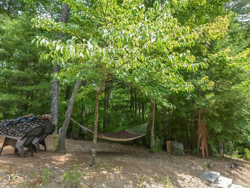 35 Leatherwood Mountain Road Cherry Log, GA 30522 - Photo 48 of 58 a view of a backyard with plants and trees