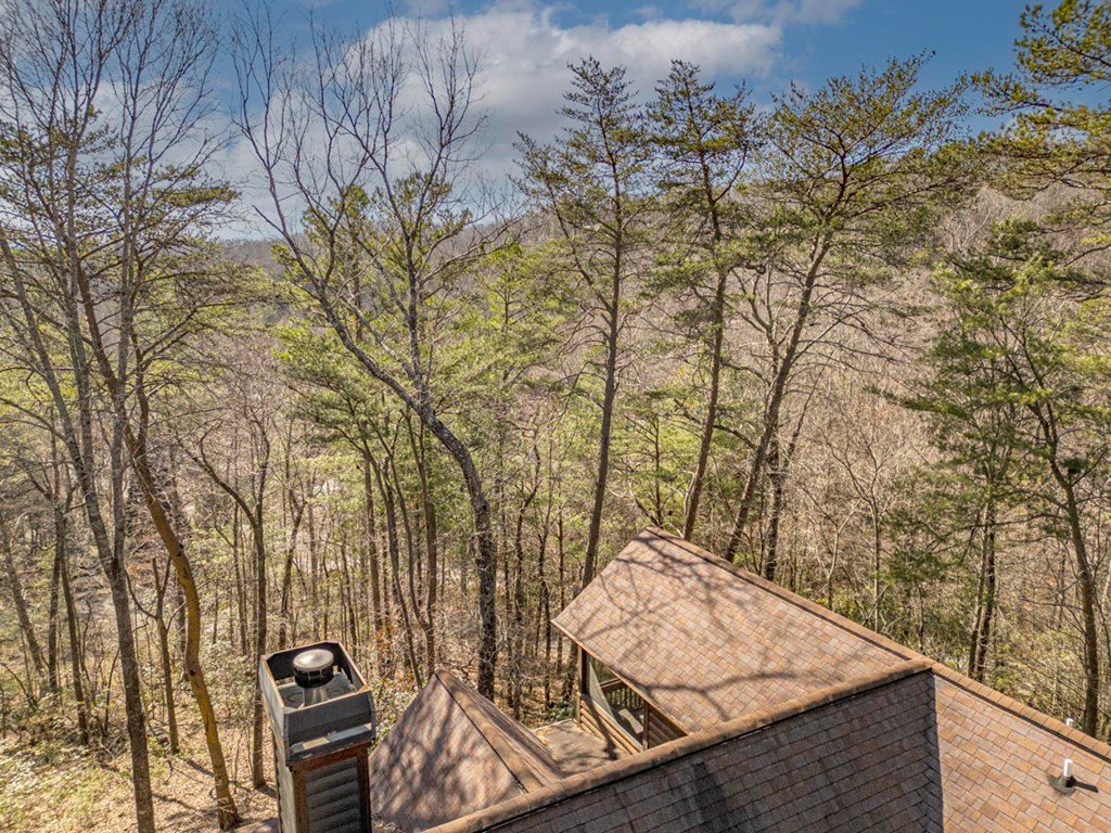 35 Leatherwood Mountain Road Cherry Log, GA 30522 - Photo 49 of 58 a view of outdoor space and garden