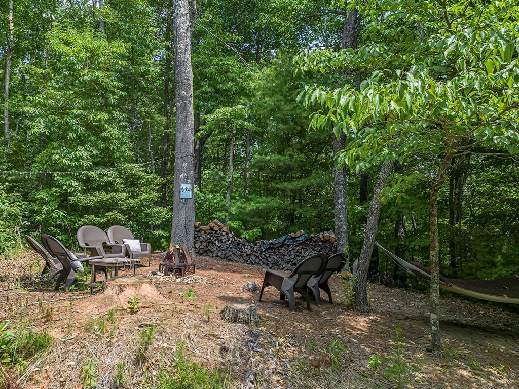 35 Leatherwood Mountain Road Cherry Log, GA 30522 - Photo 50 of 58 a view of a bench in the backyard