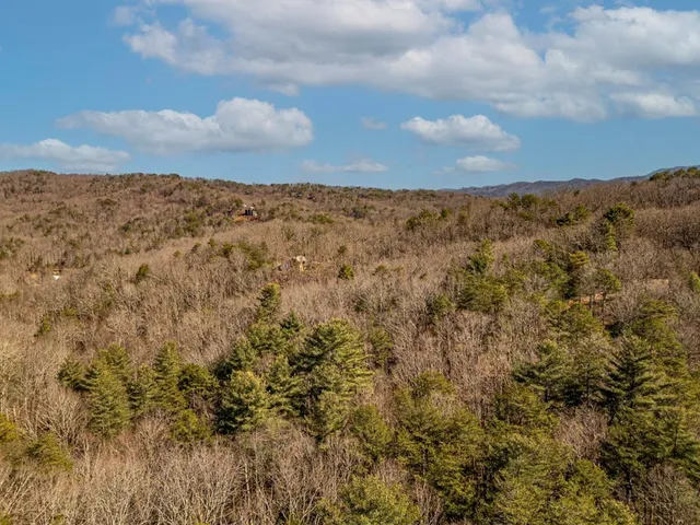 $679,000 | 35 Leatherwood Mountain Road, Cherry Log, GA 30522