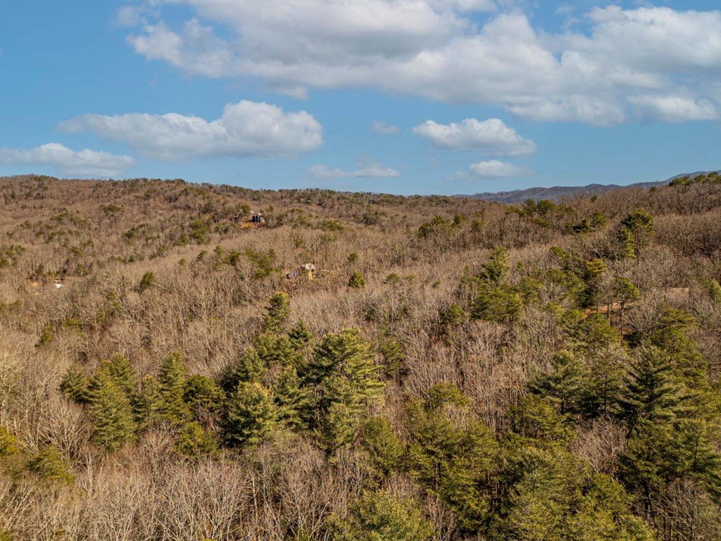 35 Leatherwood Mountain Road Cherry Log, GA 30522 - Photo 51 of 58 a view of a sky
