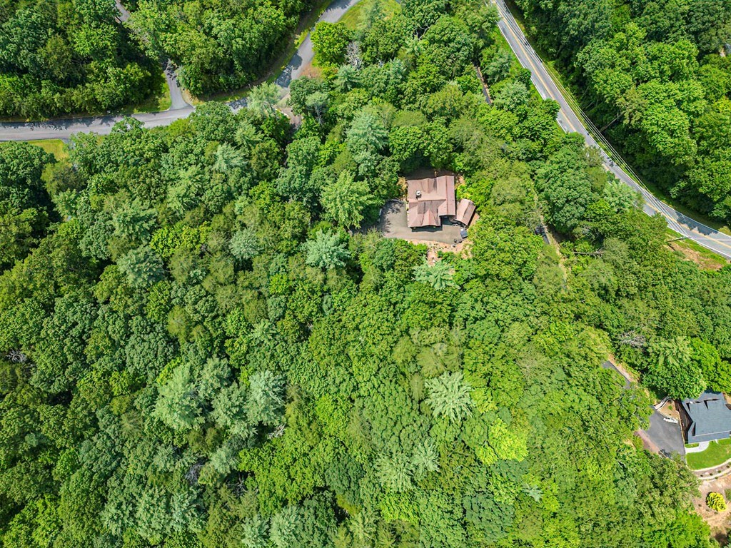 35 Leatherwood Mountain Road Cherry Log, GA 30522 - Photo 52 of 58 an aerial view of a house with a yard