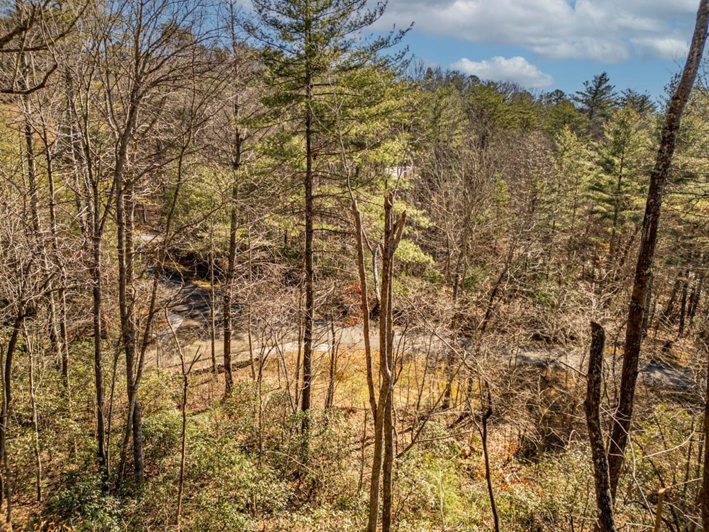 35 Leatherwood Mountain Road Cherry Log, GA 30522 - Photo 54 of 58