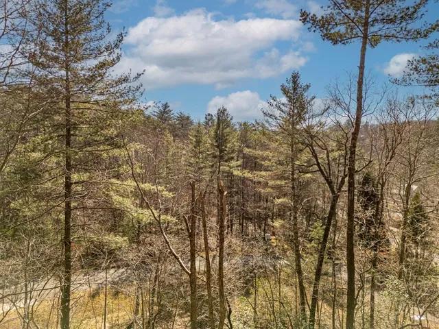 $679,000 | 35 Leatherwood Mountain Road, Cherry Log, GA 30522