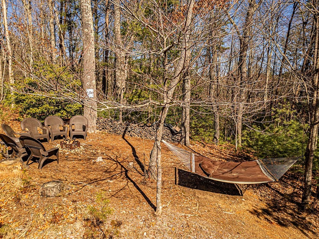 35 Leatherwood Mountain Road Cherry Log, GA 30522 - Photo 56 of 58