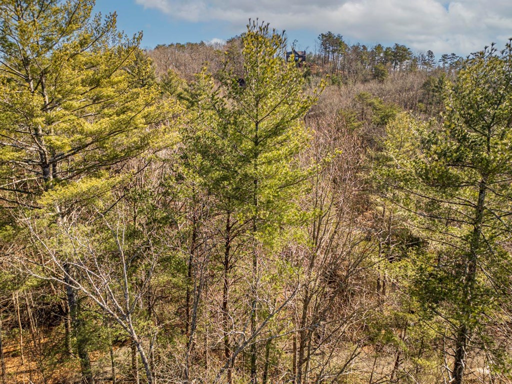 35 Leatherwood Mountain Road Cherry Log, GA 30522 - Photo 57 of 58