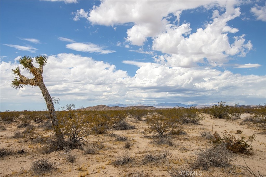61600 Sonora Road Joshua Tree, CA 92252 - Photo 1 of 1 a view of a sky