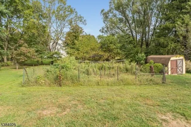 a garden view with tall trees