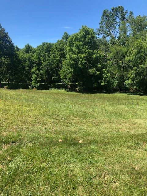 2202 Jay Clark Road Morganton, NC 28655 - Photo 6 of 20 Gallery Image 6