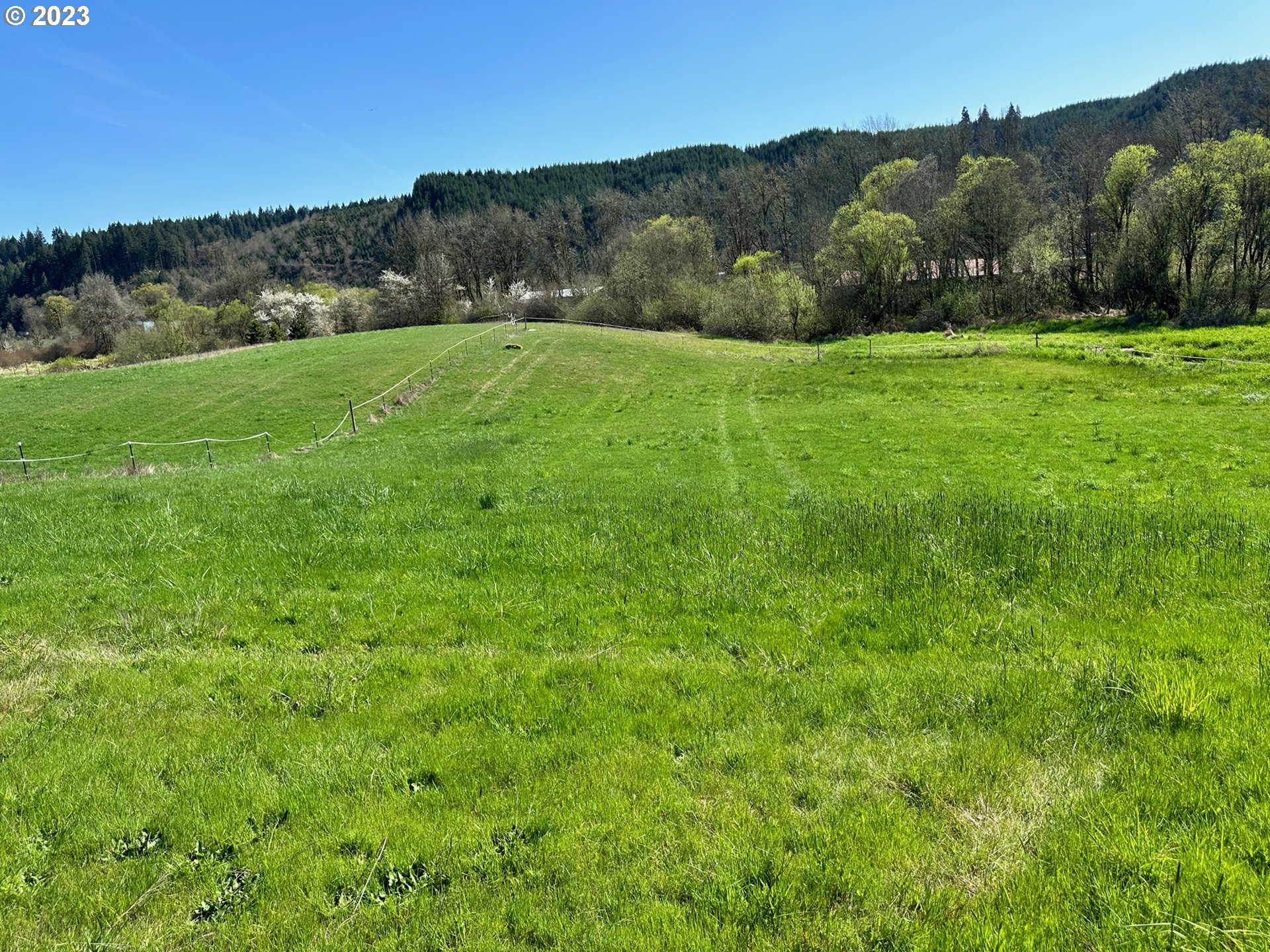 49660 Northwest Pongratz Road Banks, OR 97106 - Photo 16 of 22 a view of an outdoor space and a yard