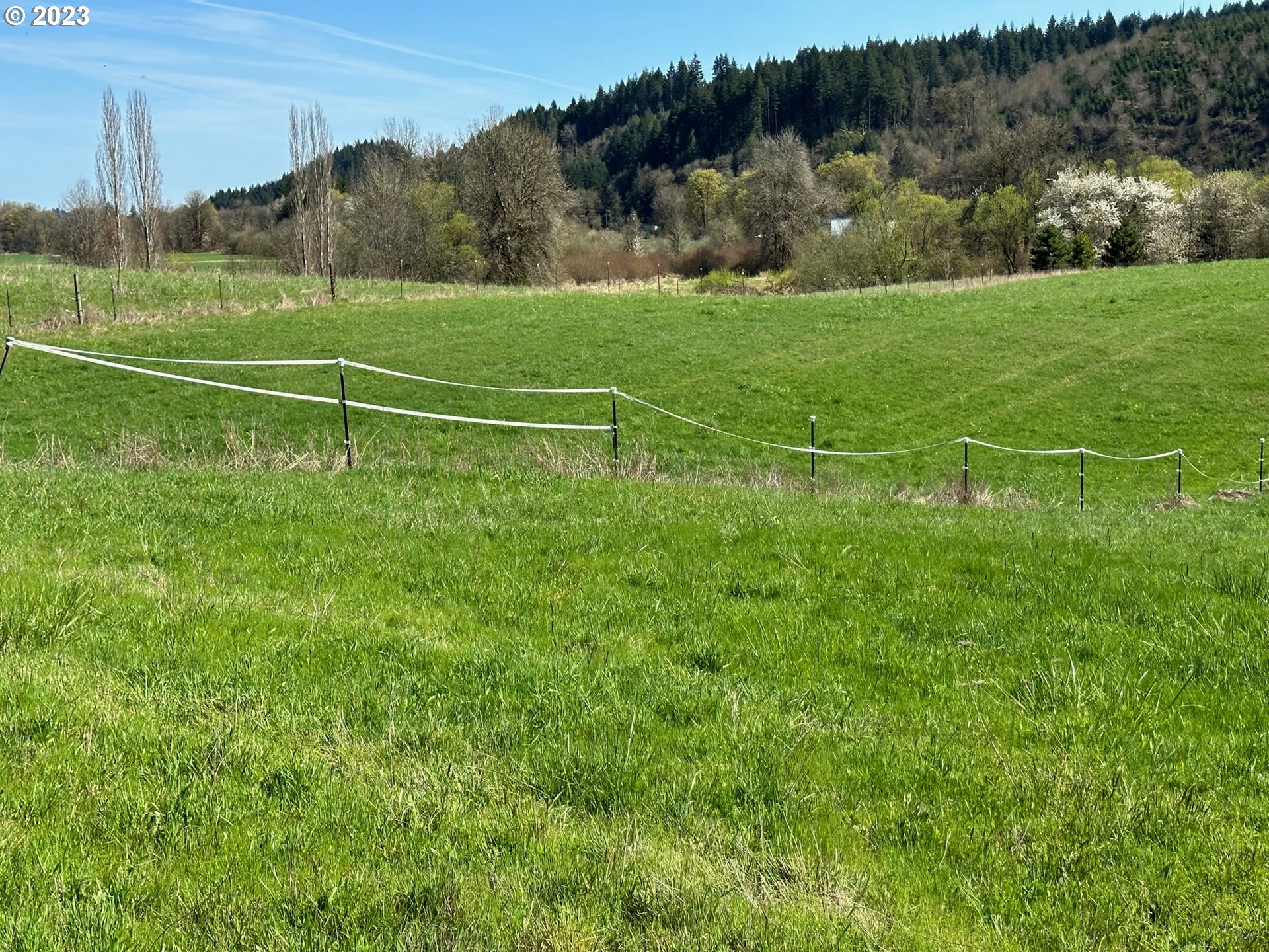 49660 Northwest Pongratz Road Banks, OR 97106 - Photo 18 of 22 a view of field with grass and trees