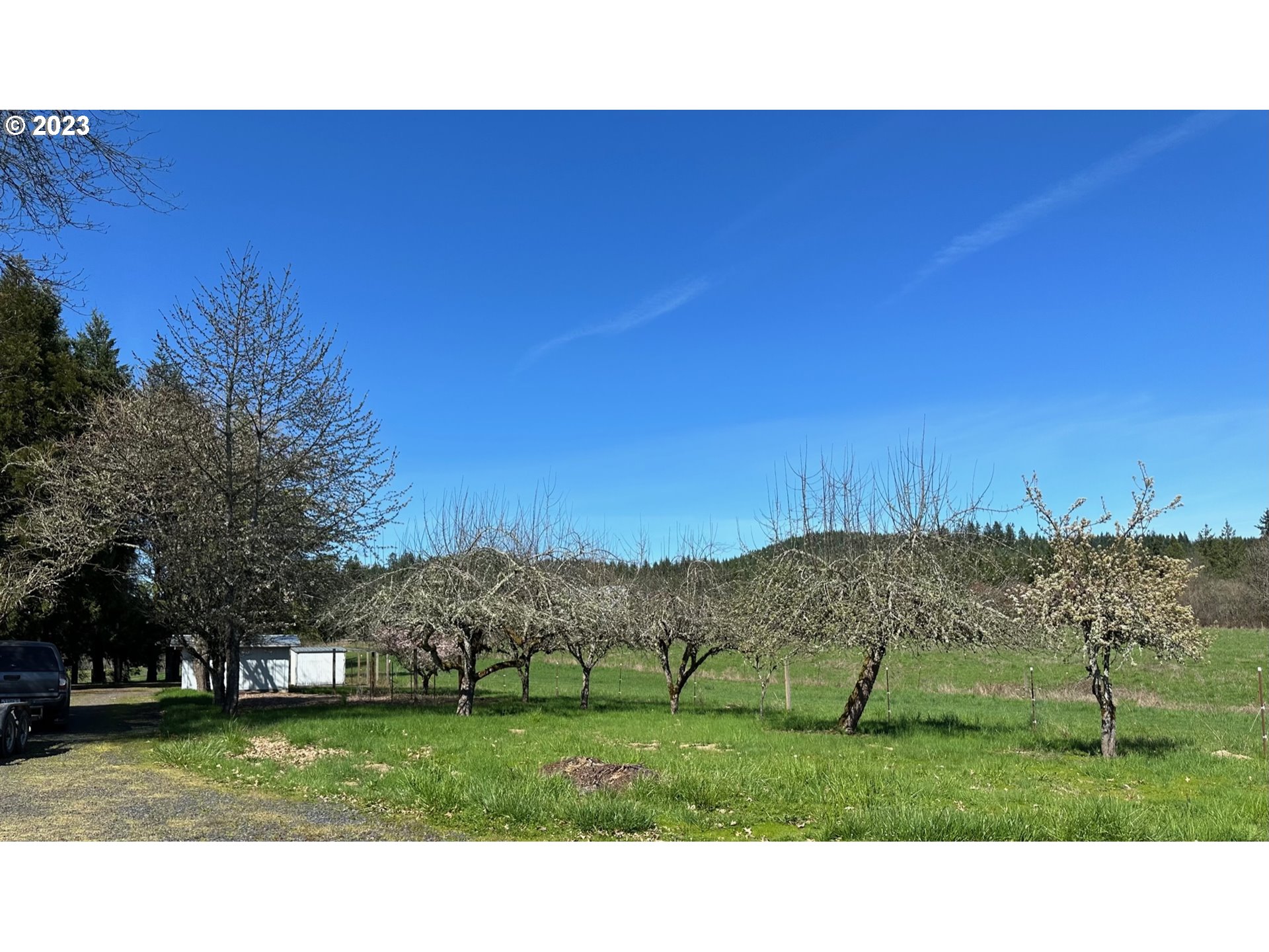 49660 Northwest Pongratz Road Banks, OR 97106 - Photo 4 of 22 a view of a park