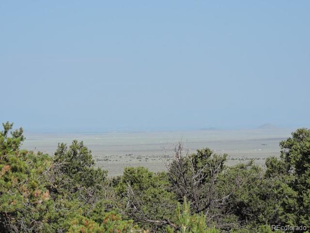 13541 Juarez Road San Luis, CO 81152 - Photo 11 of 18 Gallery Image 11