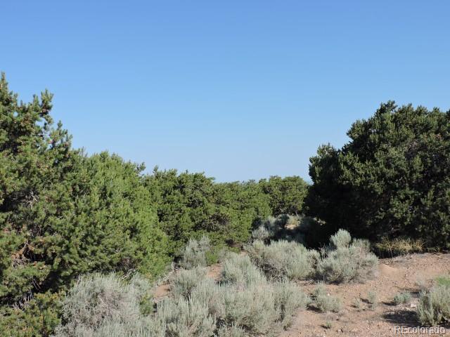 13541 Juarez Road San Luis, CO 81152 - Photo 13 of 18 Gallery Image 13