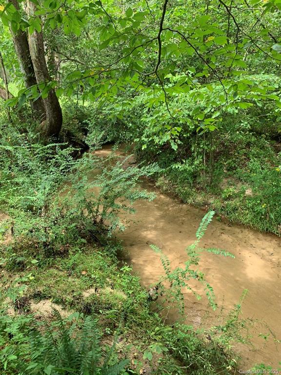 0 Hopewell Church Road Hiddenite, NC 28636 - Photo 12 of 23