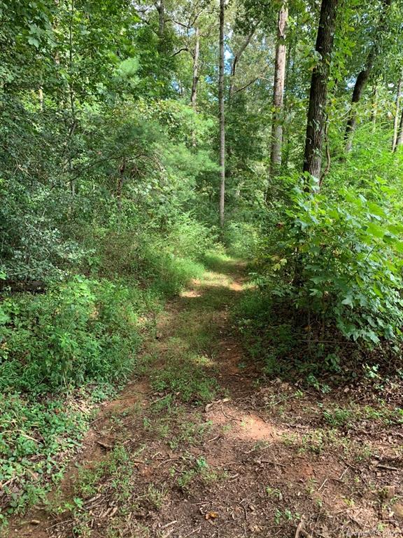 0 Hopewell Church Road Hiddenite, NC 28636 - Photo 13 of 23