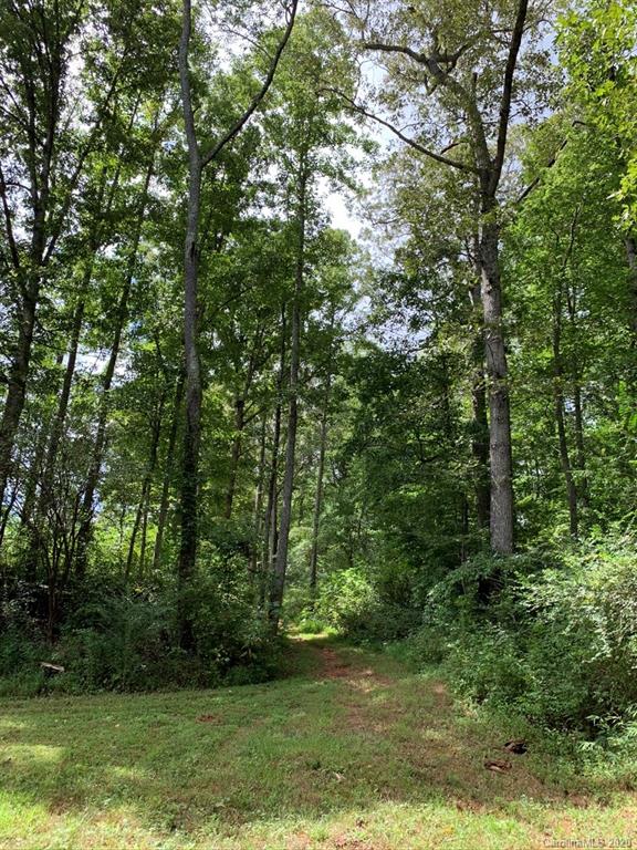 0 Hopewell Church Road Hiddenite, NC 28636 - Photo 14 of 23