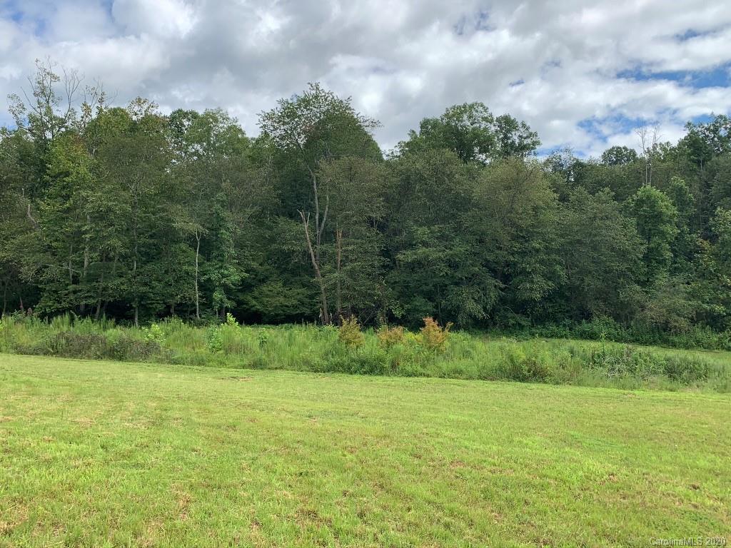 0 Hopewell Church Road Hiddenite, NC 28636 - Photo 17 of 23