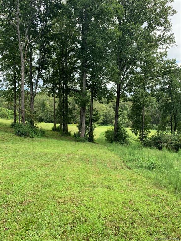 0 Hopewell Church Road Hiddenite, NC 28636 - Photo 18 of 23