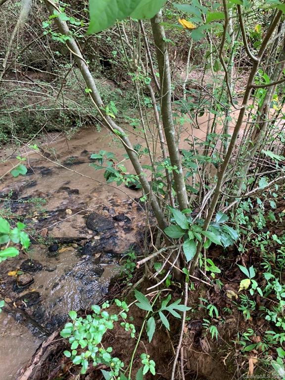 0 Hopewell Church Road Hiddenite, NC 28636 - Photo 20 of 23
