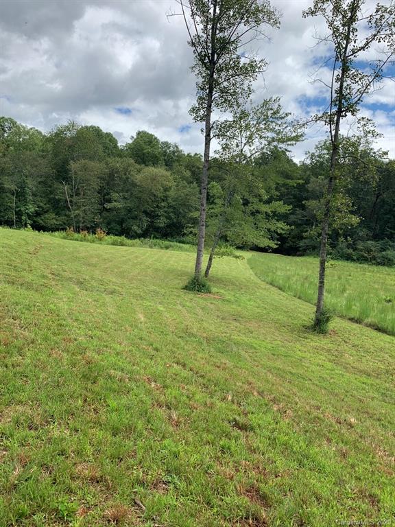0 Hopewell Church Road Hiddenite, NC 28636 - Photo 3 of 23