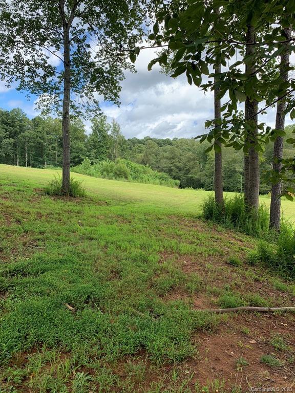 0 Hopewell Church Road Hiddenite, NC 28636 - Photo 5 of 23