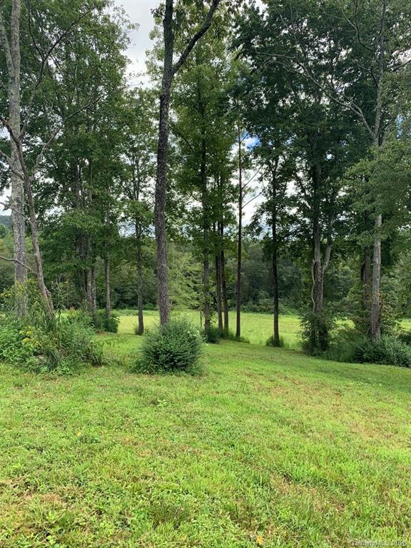 0 Hopewell Church Road Hiddenite, NC 28636 - Photo 6 of 23