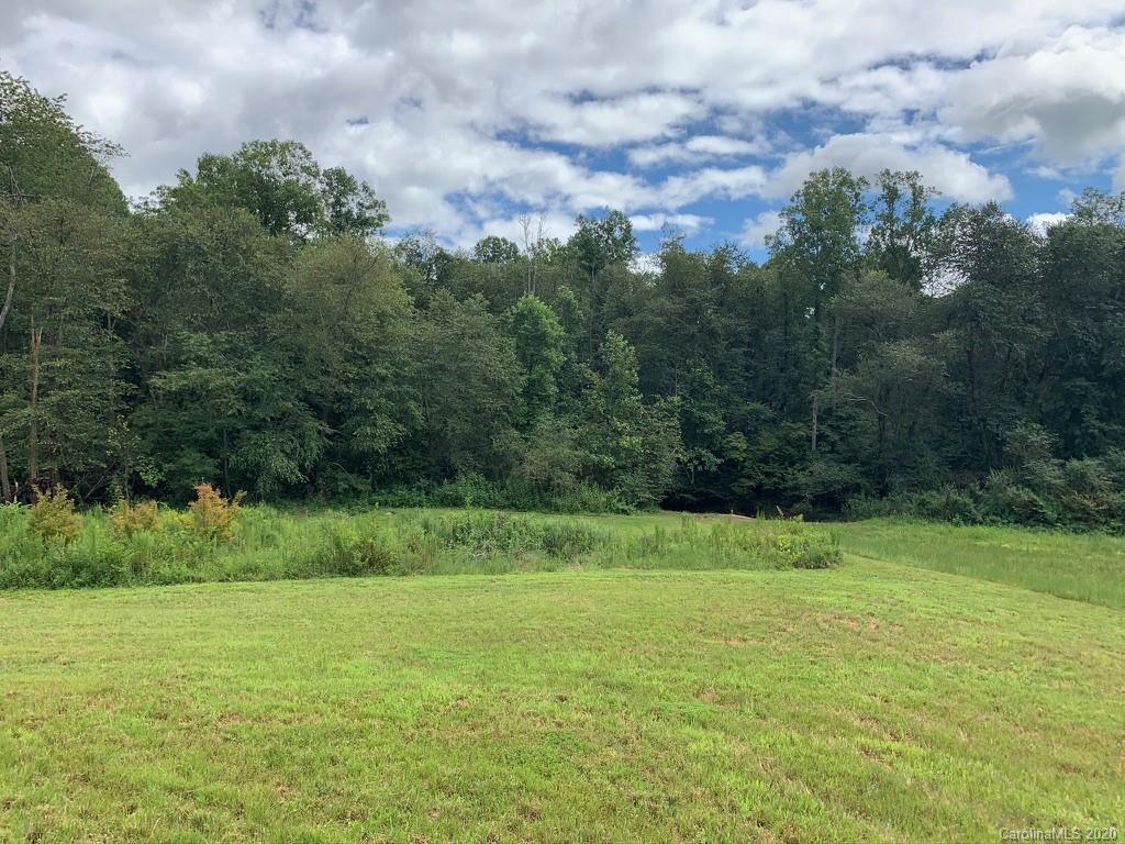 0 Hopewell Church Road Hiddenite, NC 28636 - Photo 7 of 23