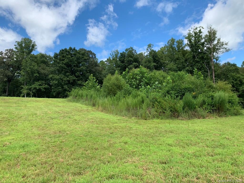 0 Hopewell Church Road Hiddenite, NC 28636 - Photo 8 of 23