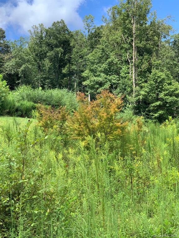 0 Hopewell Church Road Hiddenite, NC 28636 - Photo 9 of 23