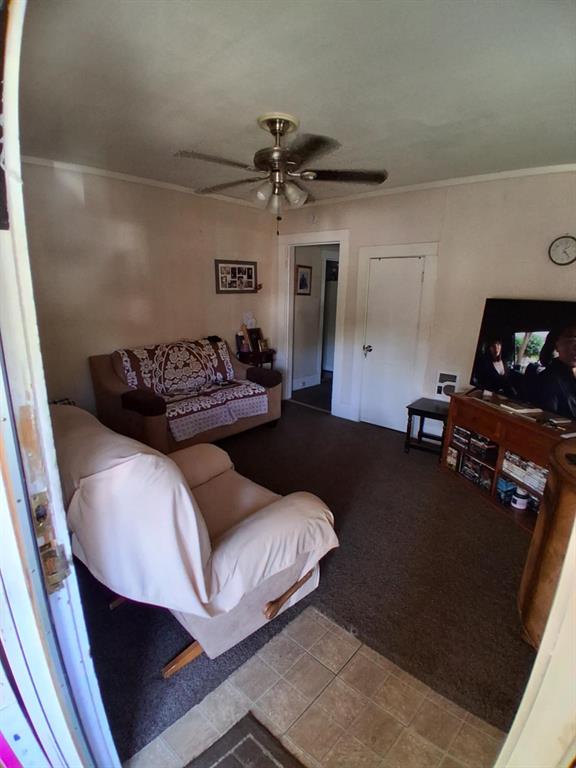 1015 East Morphy Street Fort Worth, TX 76104 - Photo 19 of 23 Living area with crown molding, ceiling fan, and carpet flooring