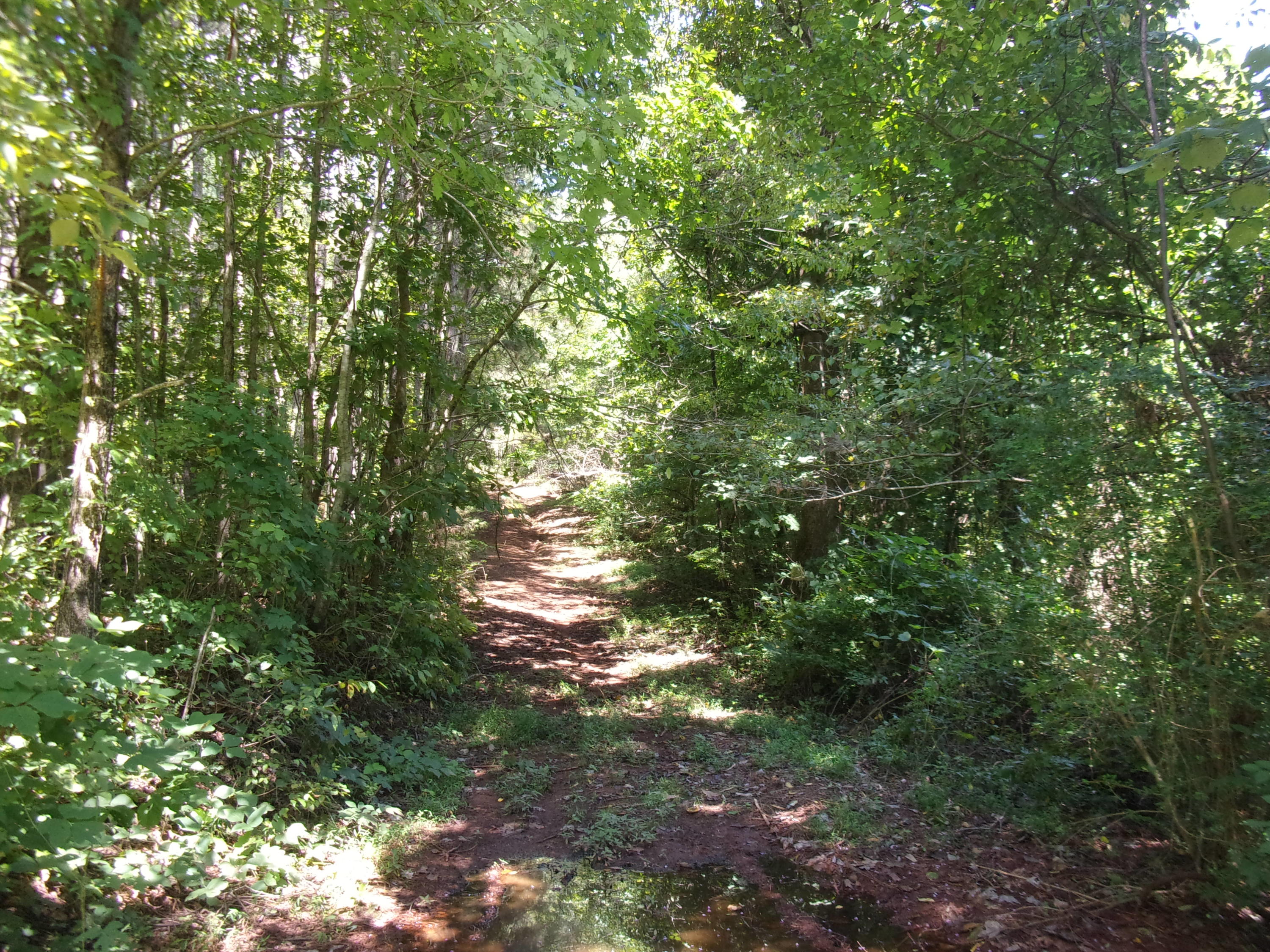500 Anderson Road Sweetwater, TN 37874 - Photo 15 of 19 100_0559