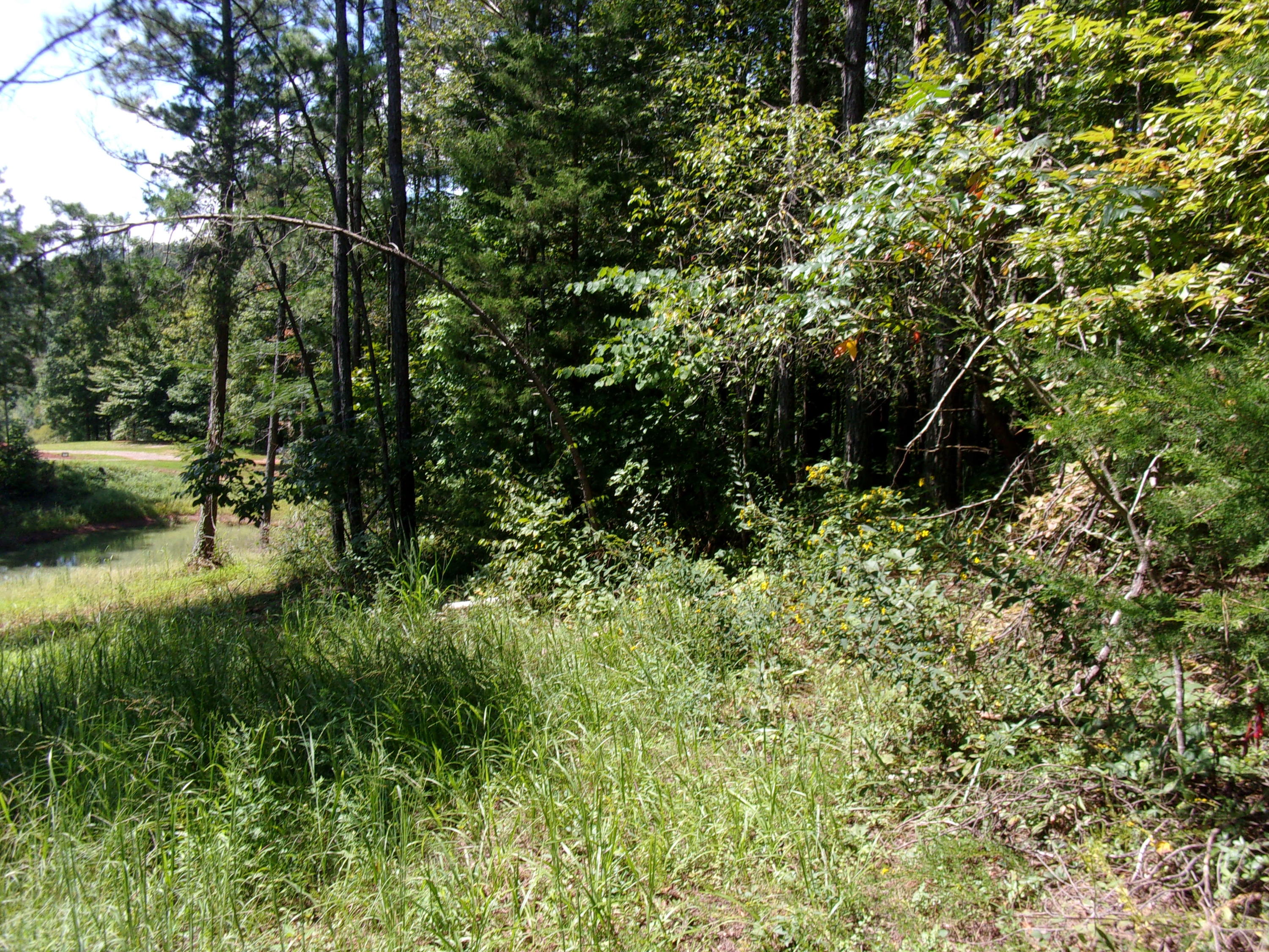 500 Anderson Road Sweetwater, TN 37874 - Photo 18 of 19 100_0562