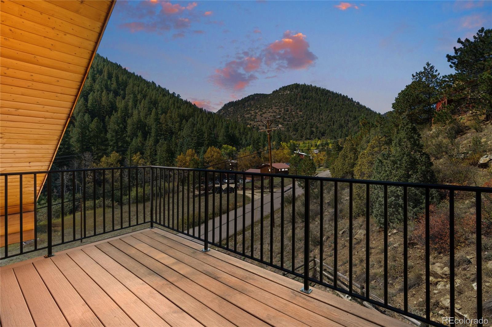 644 Mill Creek Road Dumont, CO 80436 - Photo 12 of 20